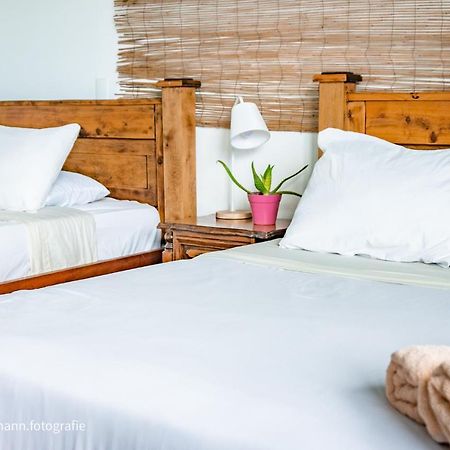 Lost In San Jose Hotel & Hostel المظهر الخارجي الصورة