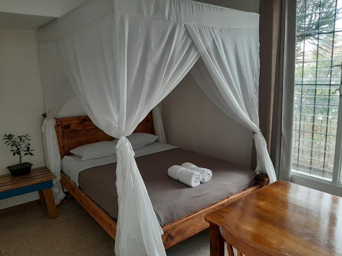 Lost In San Jose Hotel & Hostel المظهر الخارجي الصورة