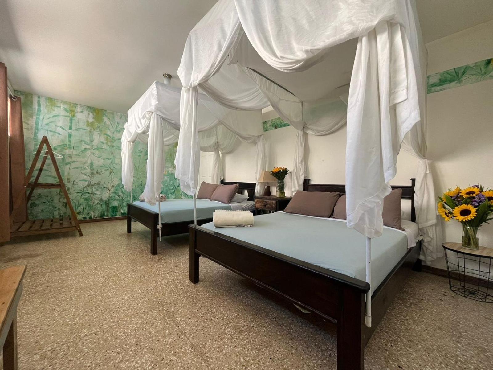 Lost In San Jose Hotel & Hostel المظهر الخارجي الصورة