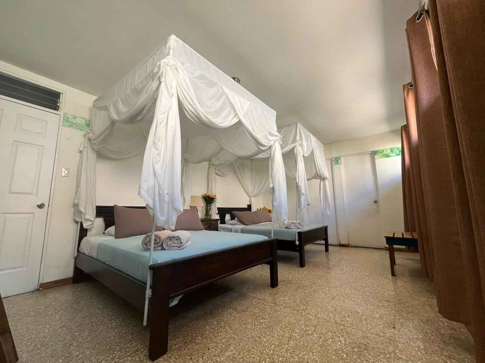 Lost In San Jose Hotel & Hostel المظهر الخارجي الصورة