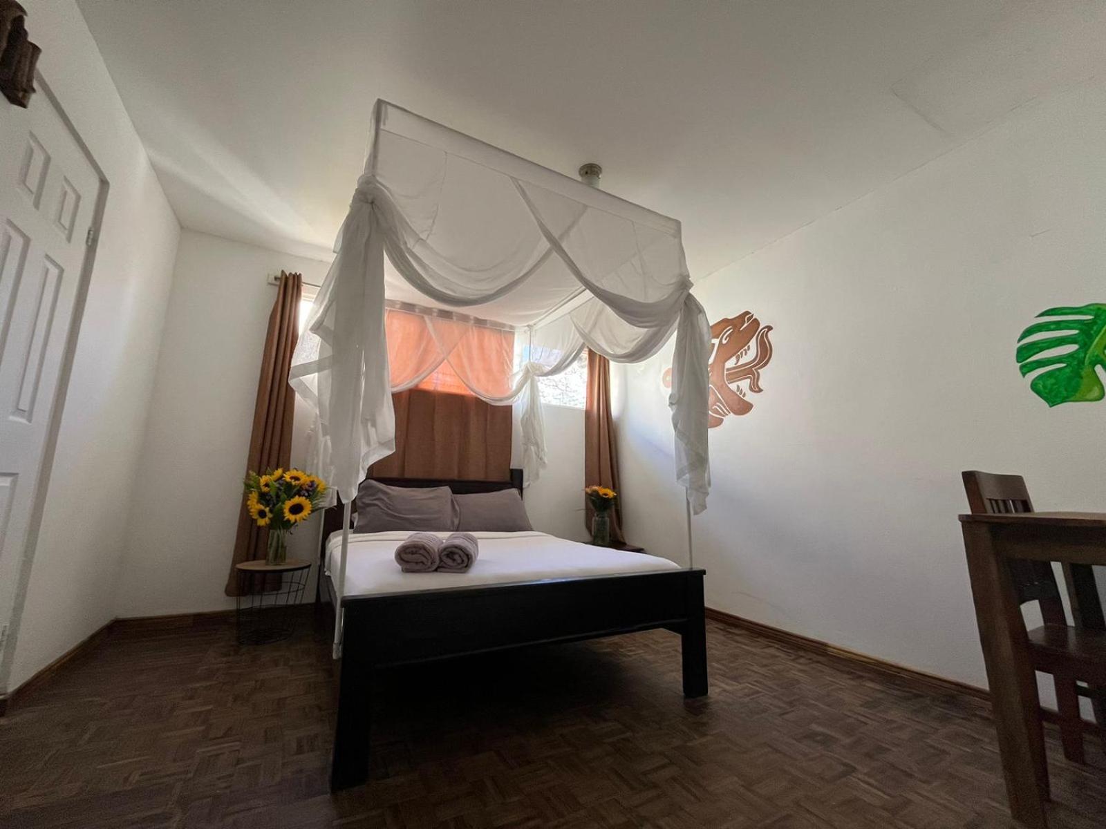 Lost In San Jose Hotel & Hostel المظهر الخارجي الصورة