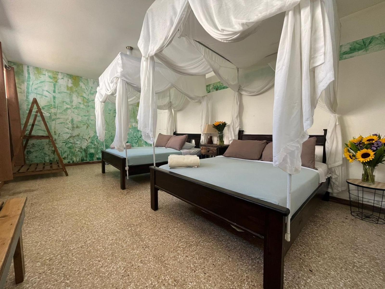 Lost In San Jose Hotel & Hostel المظهر الخارجي الصورة