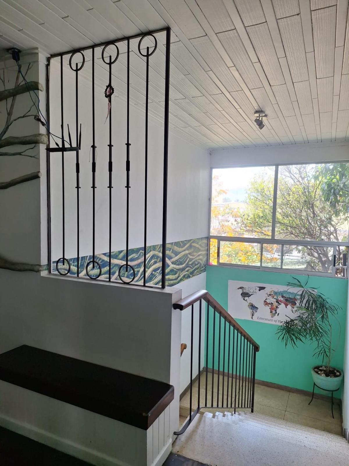 Lost In San Jose Hotel & Hostel المظهر الخارجي الصورة