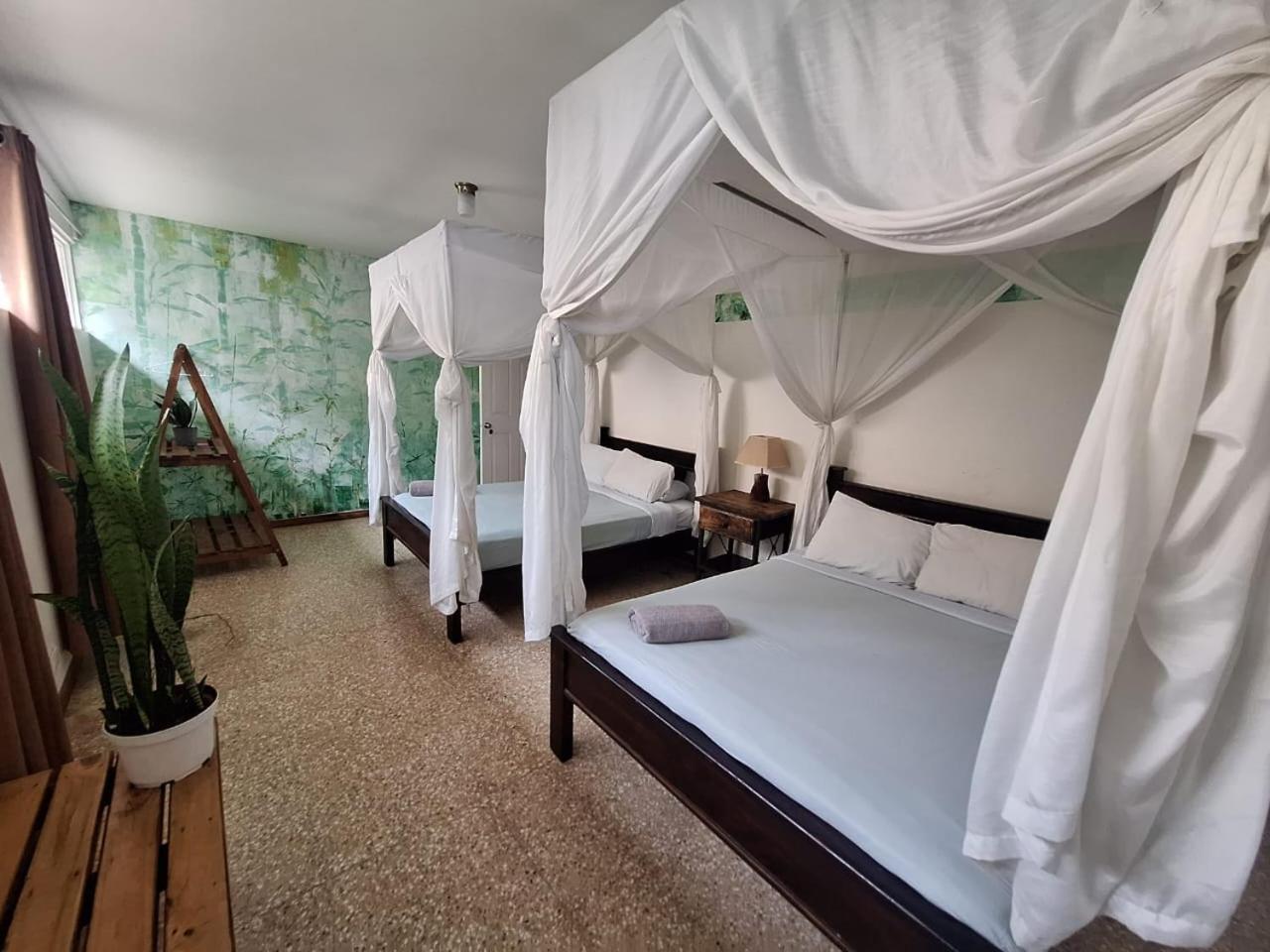 Lost In San Jose Hotel & Hostel المظهر الخارجي الصورة